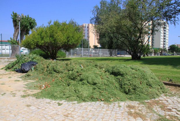 Recolha Resíduos Verdes