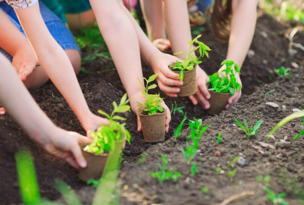 Programa Eco-Escolas