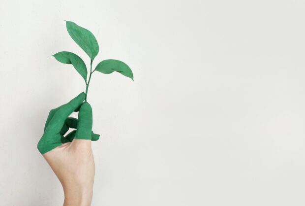 Concurso Pegada Ecológica